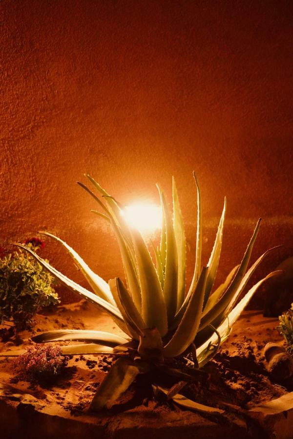 Petra Bedouin Bed And Breakfast Wadi Musa Exterior photo